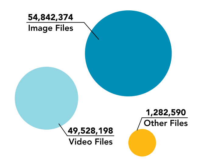 Data File Types Reported to
                            the
                            CyberTipline in
                            2023